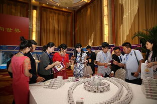 傣药亮相东盟华商盛会，我州企业借力拓展国际视野