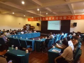 成都肥企聚力前行，会议展览服务掀起产业发展新高潮